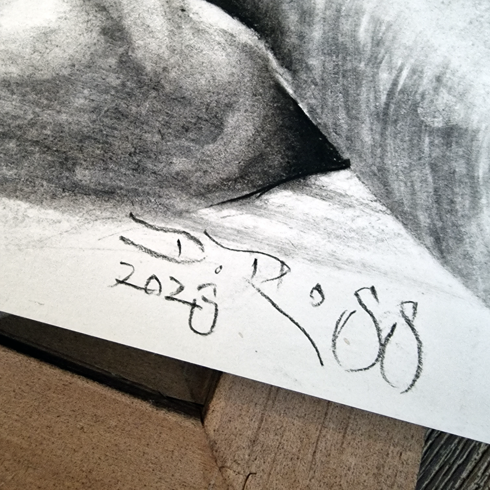 Female Figure Drawing, Touch Of Malvasia, Original Charcoal Art on Paper