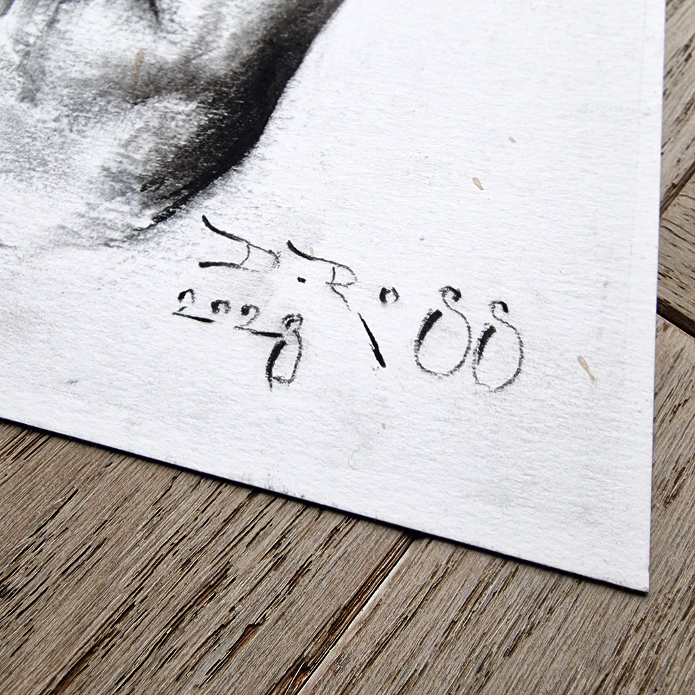 Female Figure Drawing, Annata in Charcoa