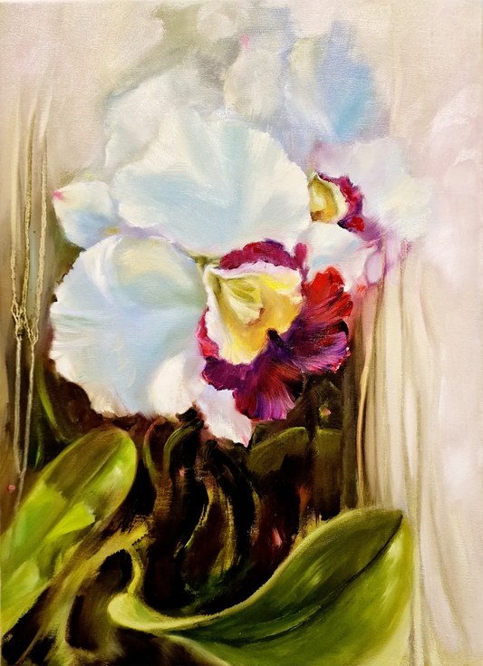Orchidea – Original Floral Oil Painting by Dimitri Ross