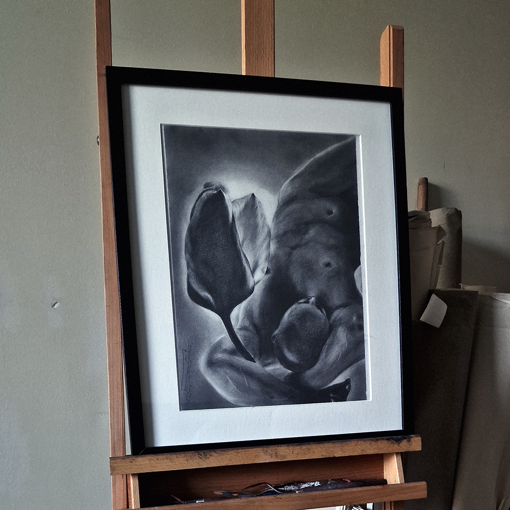 Genesis of Bloom | Baroque Male Figure & Tulip in Graphite Drawing