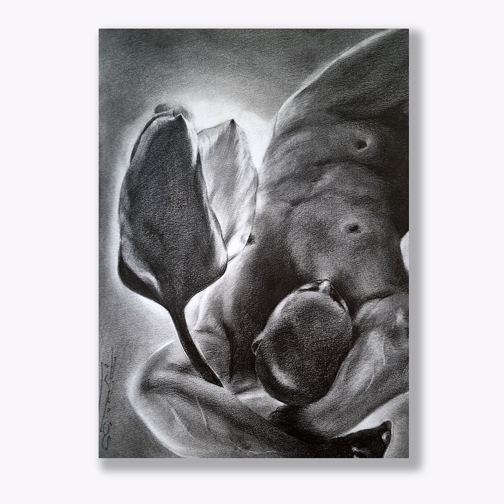 Genesis of Bloom | Baroque Male Figure & Tulip in Graphite Drawing