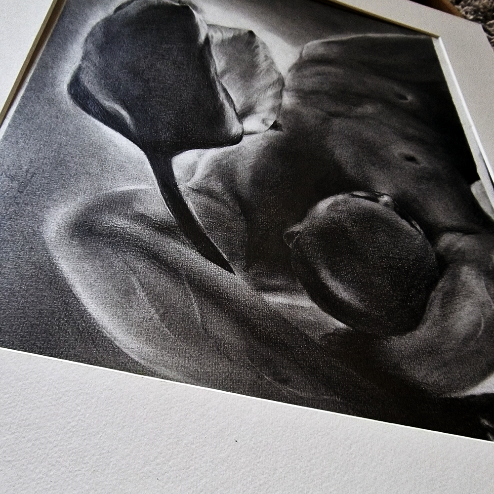 Genesis of Bloom | Baroque Male Figure & Tulip in Graphite Drawing