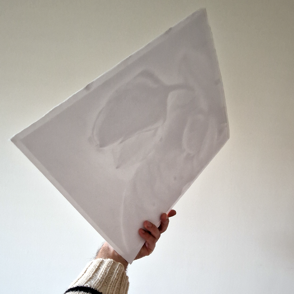 Genesis of Bloom | Baroque Male Figure & Tulip in Graphite Drawing